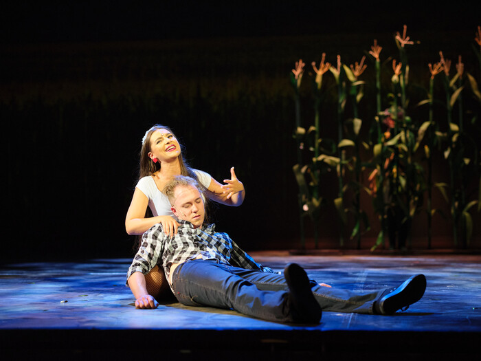 Slunce, seno, jahody - fotografie 6 z 20