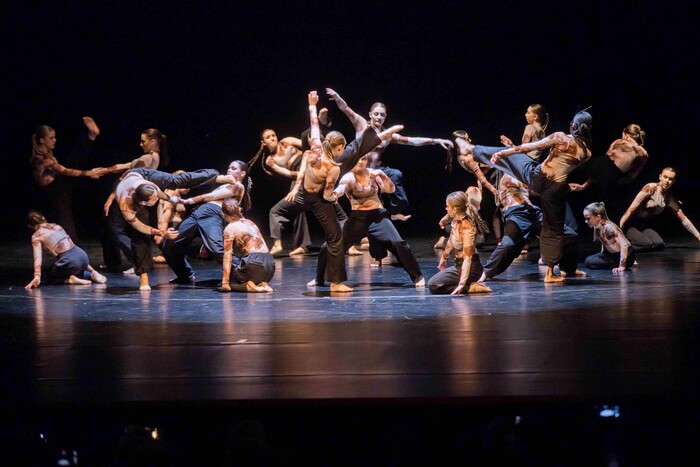 Contemporary Gala 2024 - Art Around - fotografie 6 z 16