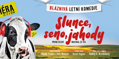 Slunce, seno, jahody