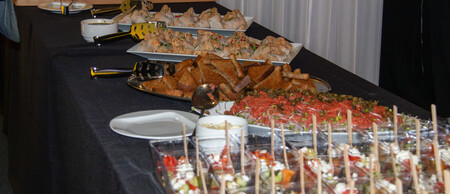 Profesionální catering