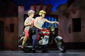 Gallery - Sun, hay, strawberries - official photo by David Kraus