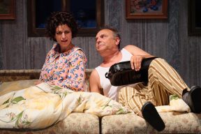Gallery - Sun, hay, strawberries - official photo by David Kraus