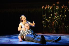 Gallery - Sun, hay, strawberries - official photo by David Kraus
