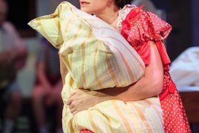 Gallery - Sun, hay, strawberries - official photo by David Kraus