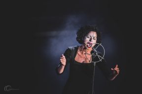 Gallery - Fever 2022