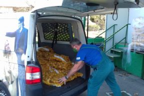 Gallery - HDK Live helps homes for the elderly