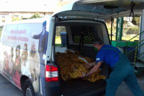 Gallery - HDK Live helps homes for the elderly